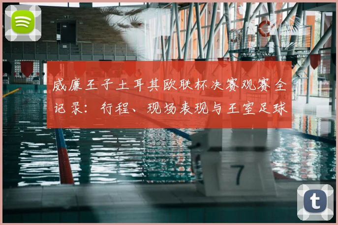威廉王子土耳其欧联杯决赛观赛全记录：行程、现场表现与王室足球趣闻